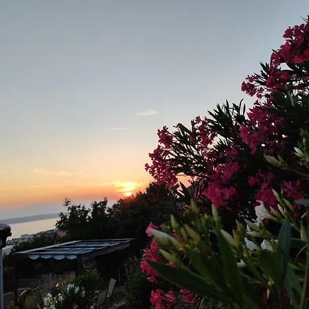 Dumic קריקווניצה