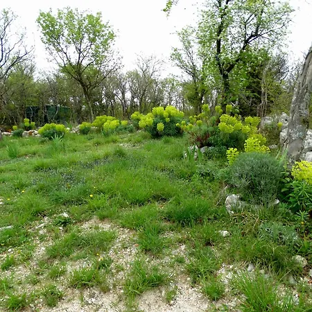 Dumic Apartament Crikvenica