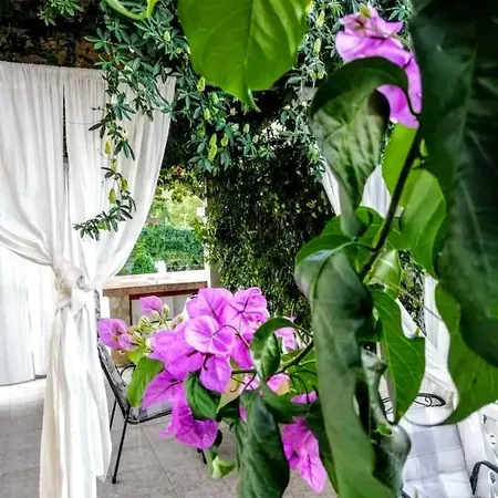 Dumic Apartman Crikvenica